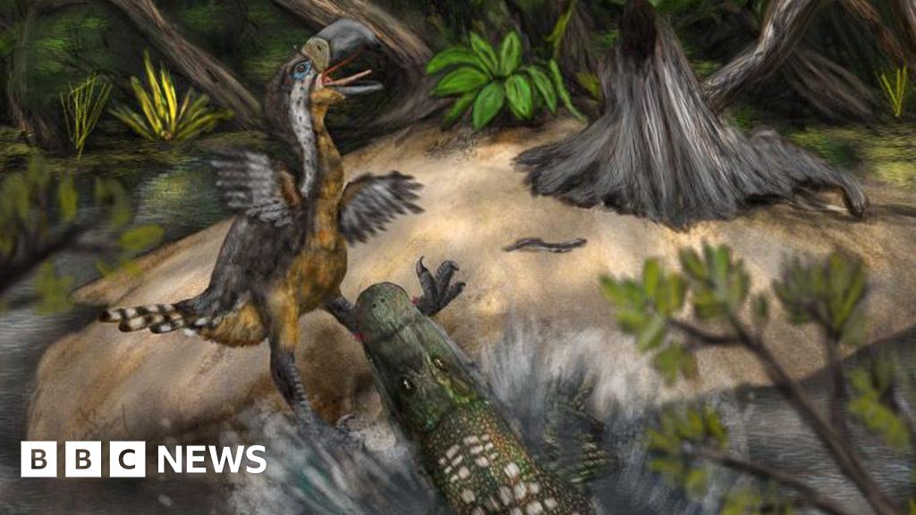 Teeth marks suggest ‘terror bird’ was killed by reptile 13 million years ago