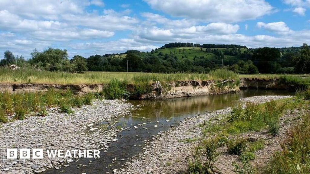 More hosepipe bans possible as UK drought threat builds