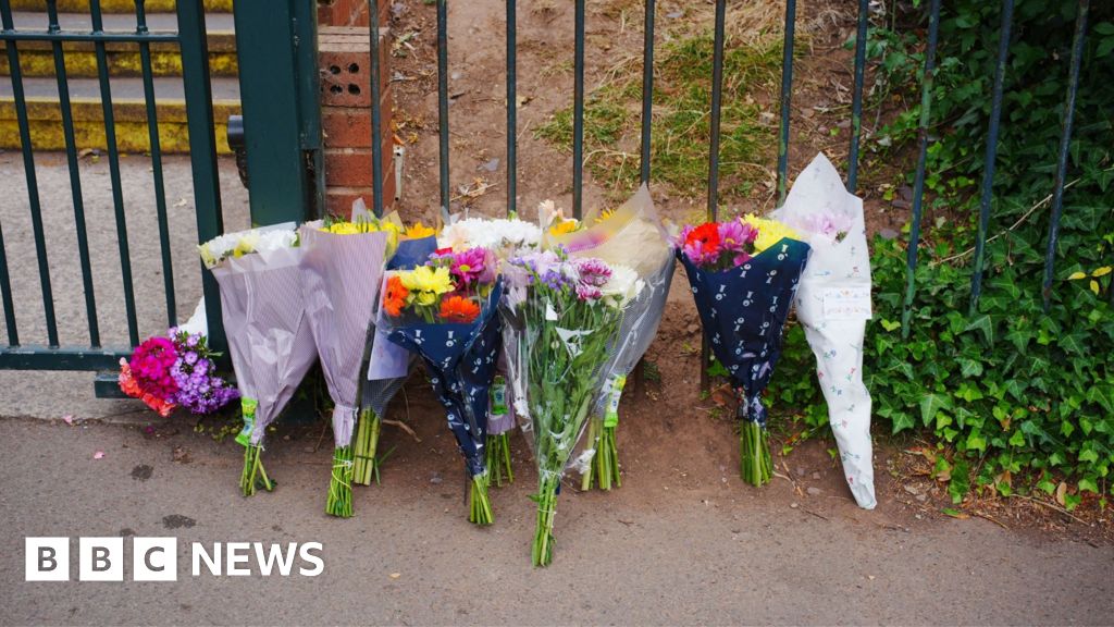 Boy died of head injury in Somerset coach crash, inquest told