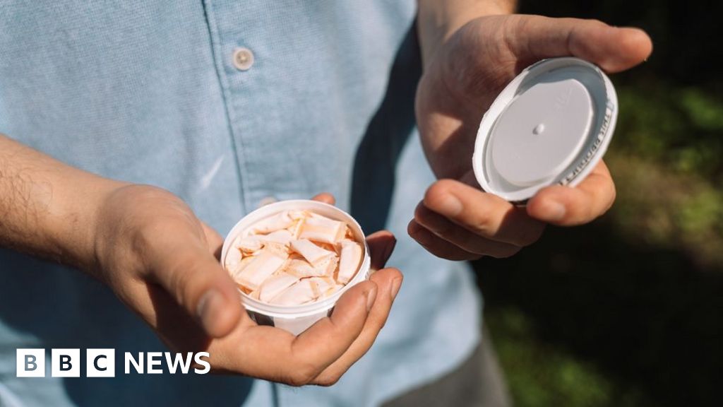 The rising use of nicotine pouches snus