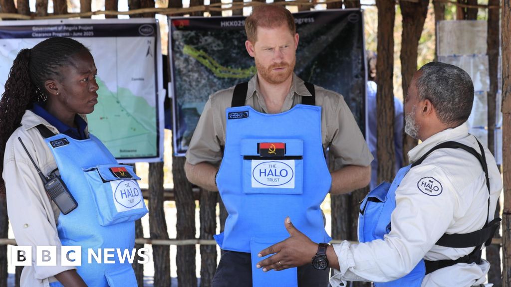 Prince Harry in Diana’s footsteps with landmine walk in Angola