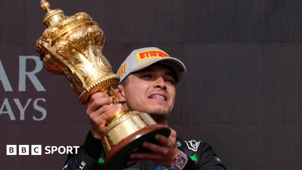 Lando Norris’ British Grand Prix win brings him ‘pure joy, pure emotion’