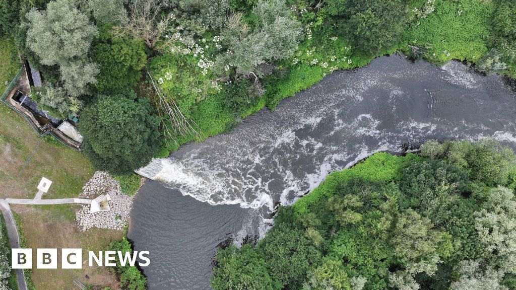 Serious water pollution in England up 60%, government says Serious water pollution in England up 60%, government says