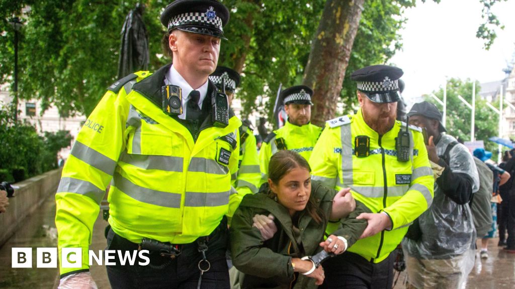 UN human rights chief criticises ‘disturbing’ Palestine Action ban