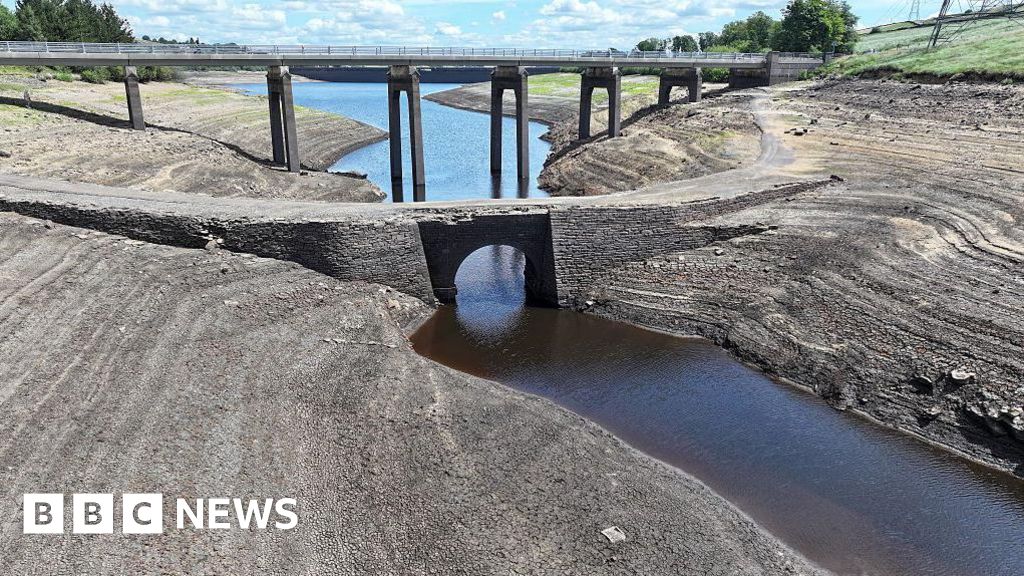 More droughts expected to be declared in England after heatwaves