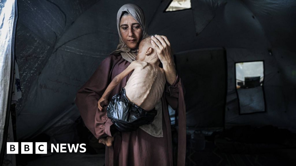 More than 100 humanitarian groups warn of mass starvation in Gaza More than 100 humanitarian groups warn of mass starvation in Gaza