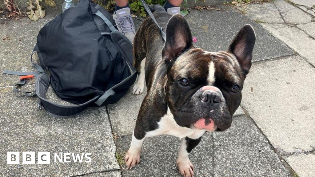 Disruption between Harrogate and York as van crashes through crossing