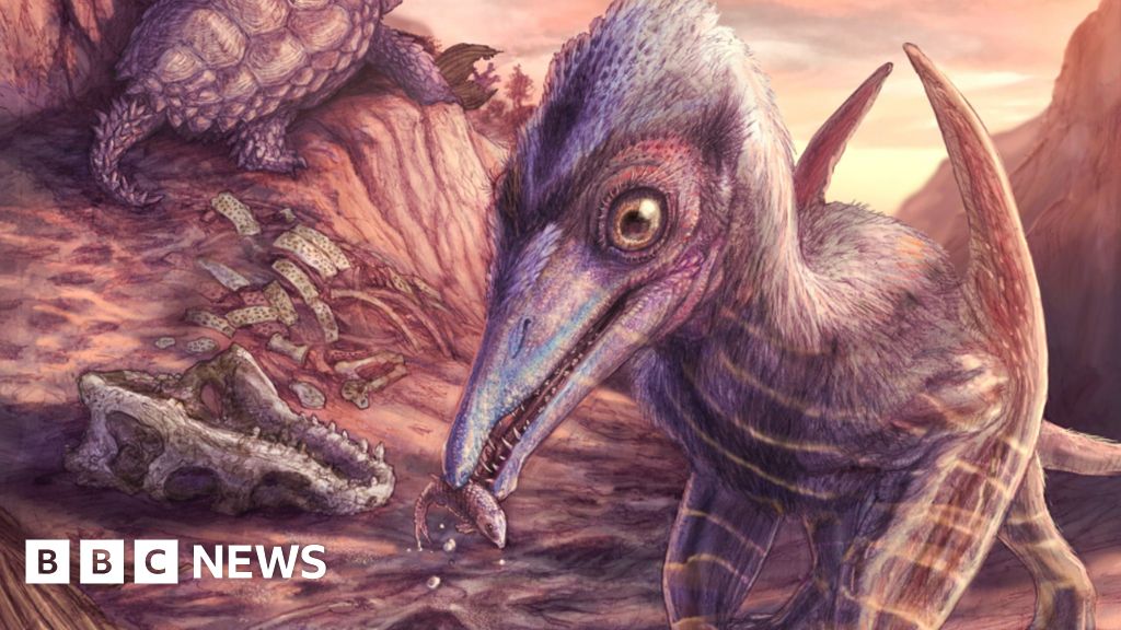 200 million year-old jawbone revealed as new species