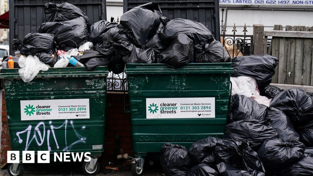 No end in sight for Birmingham bin strike after six months No end in sight for Birmingham bin strike after six months