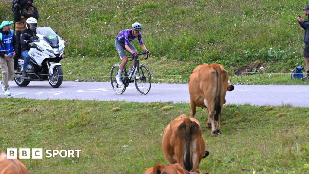 Tour de France 2025: Stage 19 rerouted to avoid diseased cows