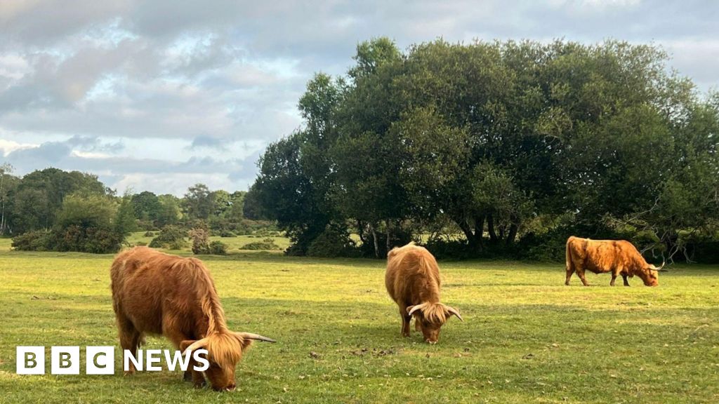 UK heatwave ends as cooler weather and rain returns