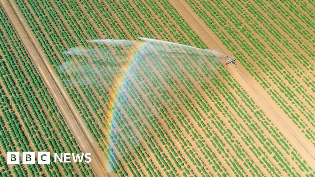 More than 150 farms in England caught illegally using local water