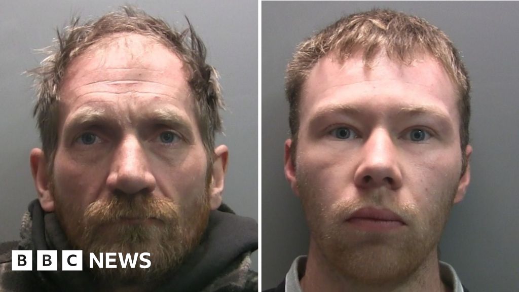 Men jailed for felling ‘irreplaceable’ Sycamore Gap tree