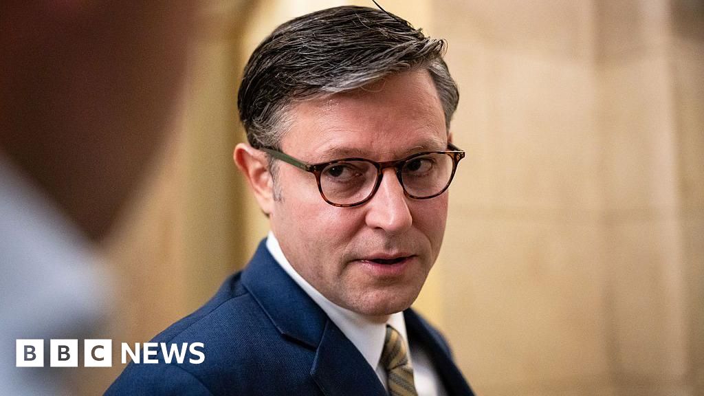 US House Speaker Johnson calls for ‘transparency’ on Epstein, in departure from Trump