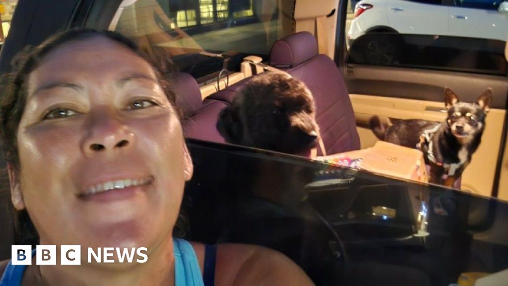 Warnings downgraded as Pacific tsunami threat recedes