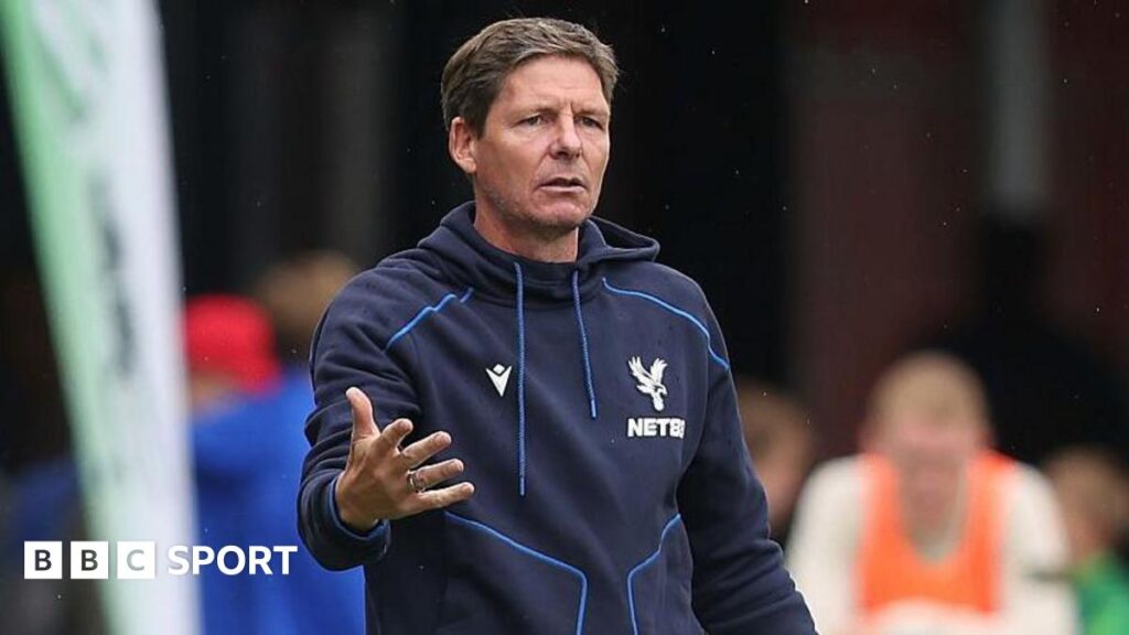 Crystal Palace: How are the club shaping up for new season after uncertain summer