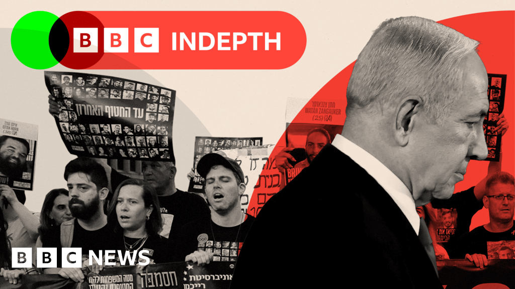 The divides within Israel over the war in Gaza The divides within Israel over the war in Gaza