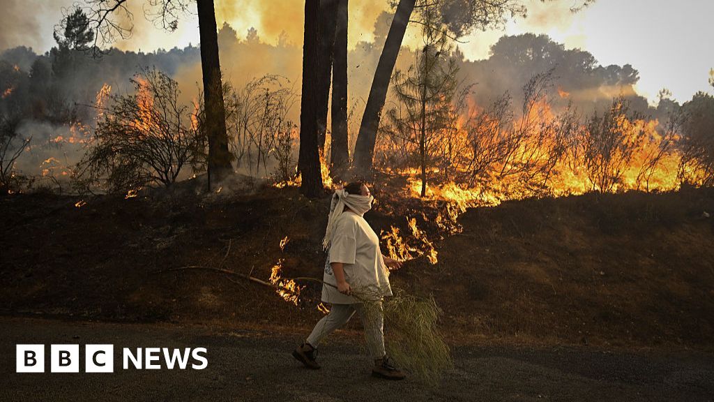 EU sending wildfire help to Spain as death toll rises