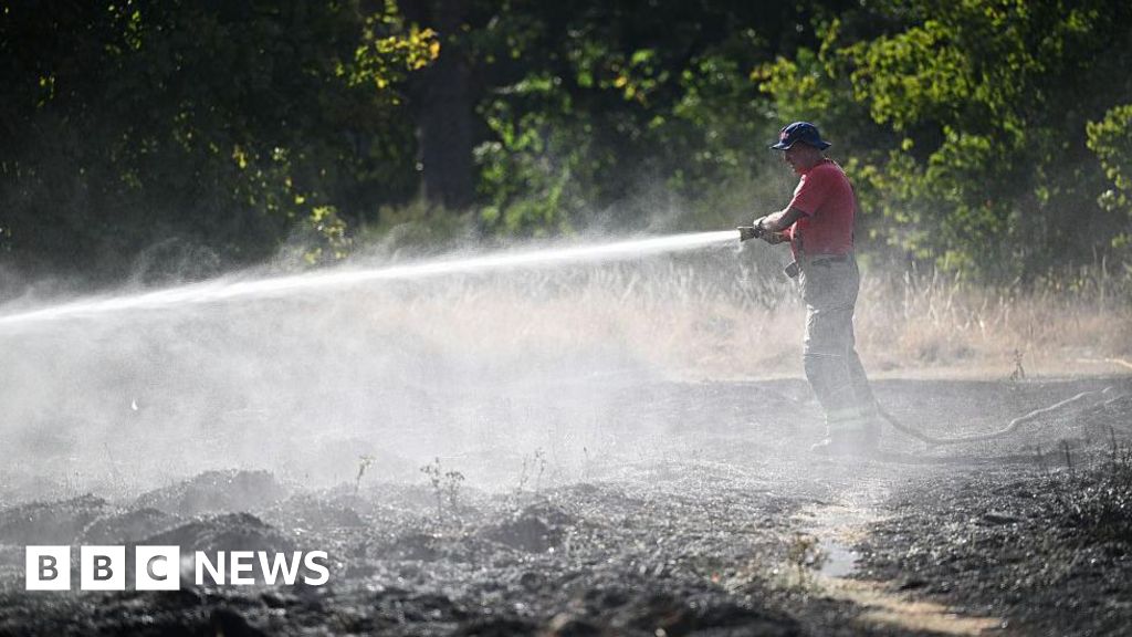 Hot, dry summers bring new ‘firewave’ risk to UK cities