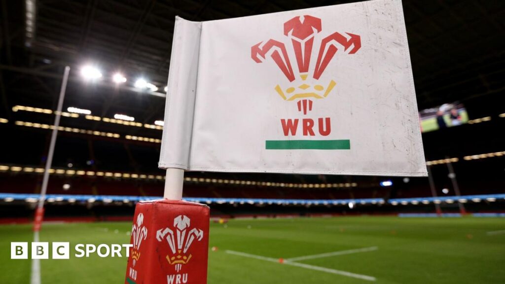 Welsh Rugby Union to propose halving professional sides to two