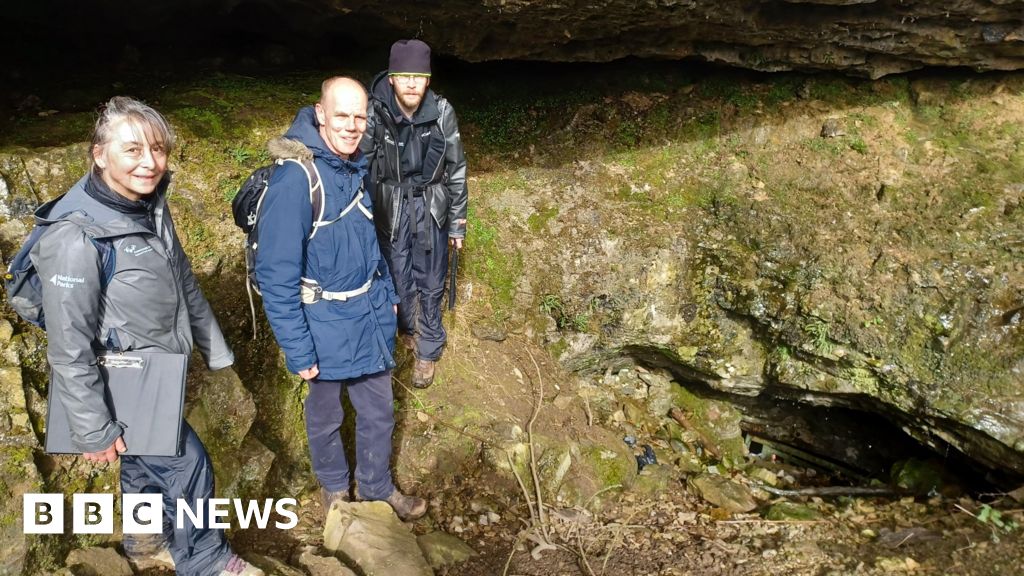 Remains of extinct Bronze Age cattle found in Ingleborough cave