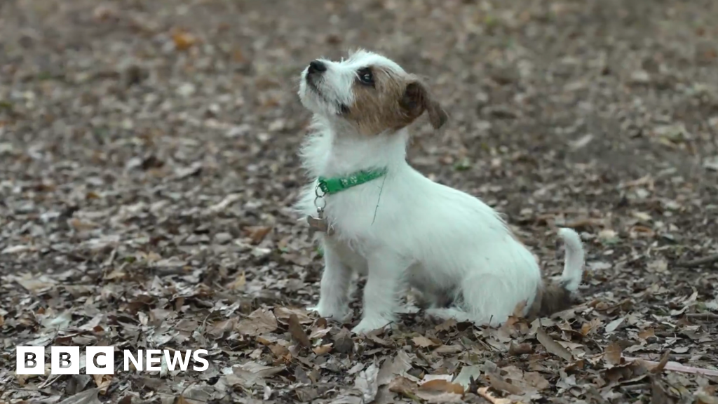 Alongside the heatwave, are we seeing an early autumn in the UK? Alongside the heatwave, are we seeing an early autumn in the UK?