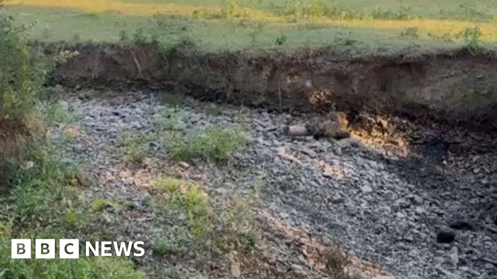 Community moves thousands of fish after Newtown brook dries out