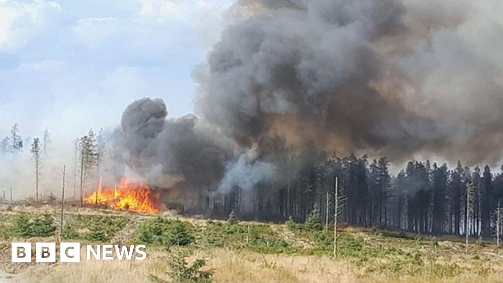 North Yorkshire Langdale moor fire fighters face exploding WWII ordinance