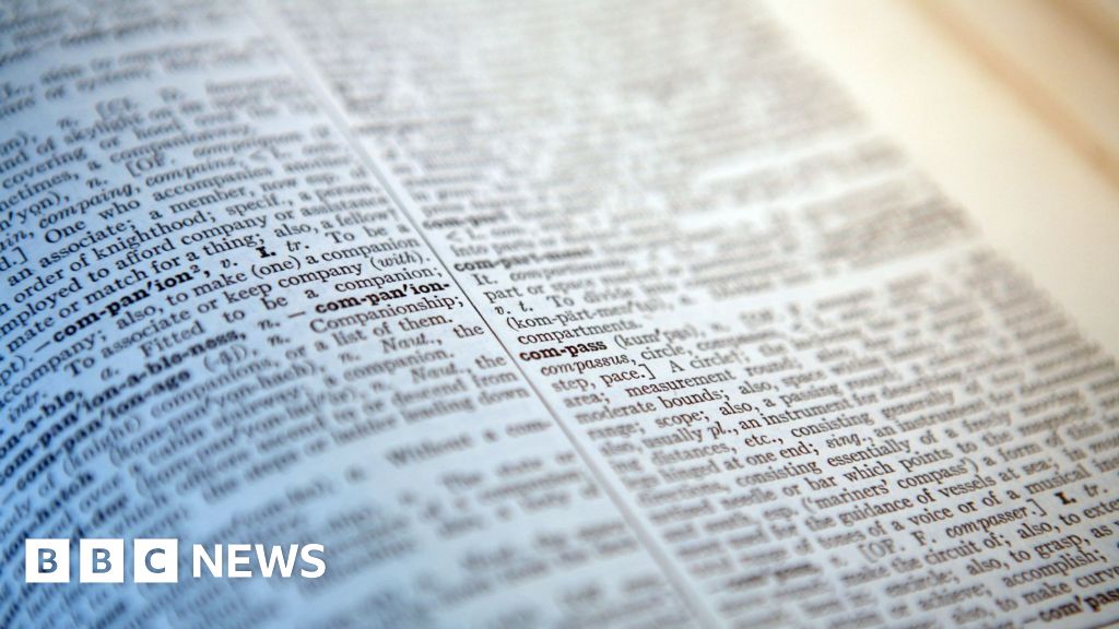 ‘Skibidi’ and ‘tradwife’ among words added to Cambridge Dictionary