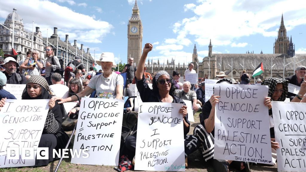 Police make arrests at Palestine Action ban protests