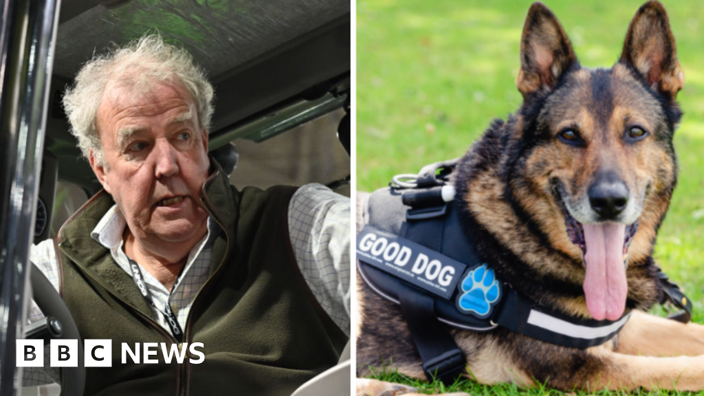 Do Parliament petitions make a difference?