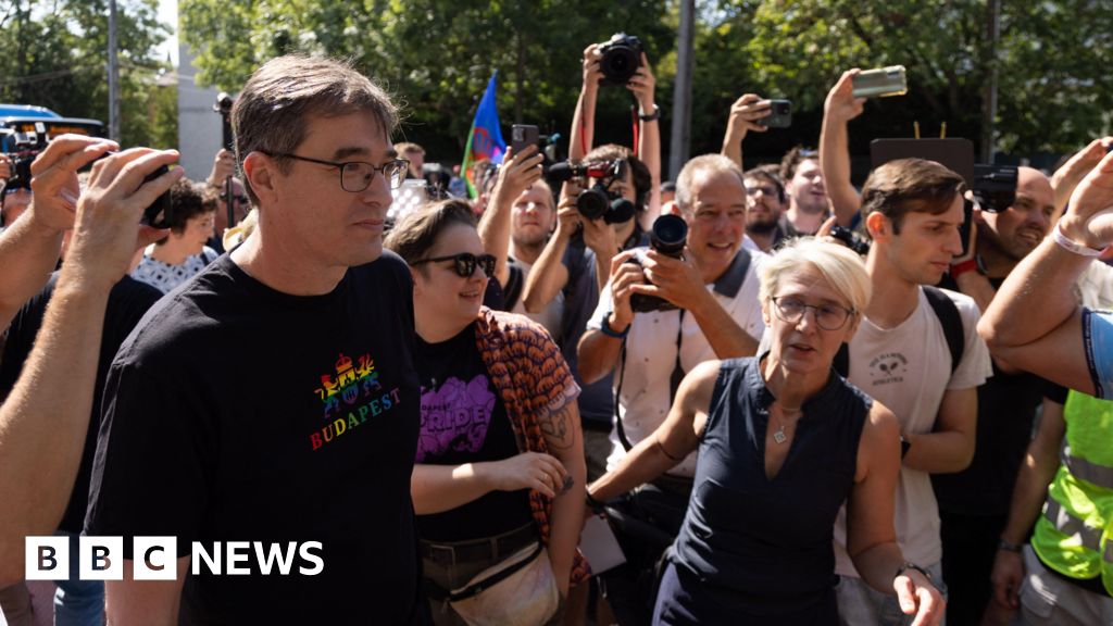 Budapest mayor questioned over organising banned pride march Budapest mayor questioned over organising banned pride march