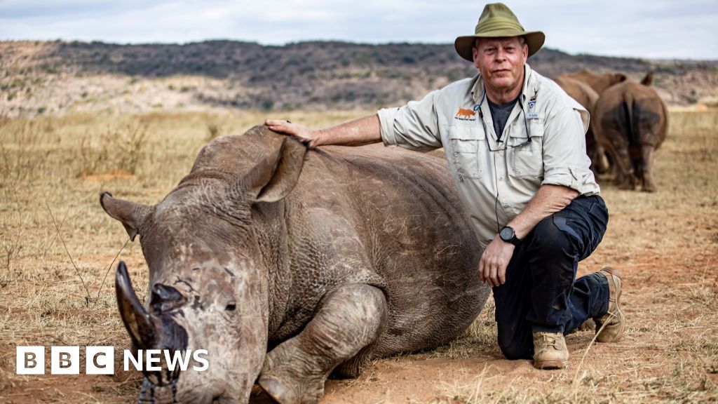 South African rhino horns turned radioactive to fight poachers