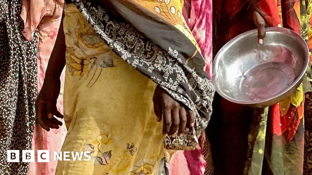 Besieged el-Fasher city residents face starvation, UN warns