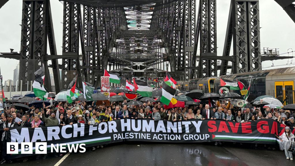 Pro-Palestine march closes Sydney Harbour Bridge