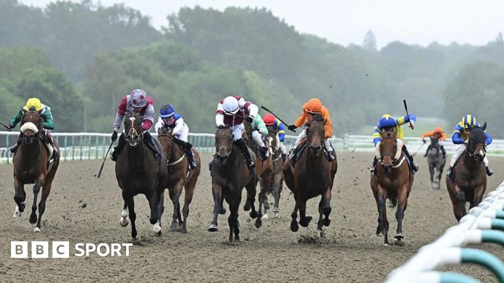 Horse races cancelled in protest against proposed betting tax rise