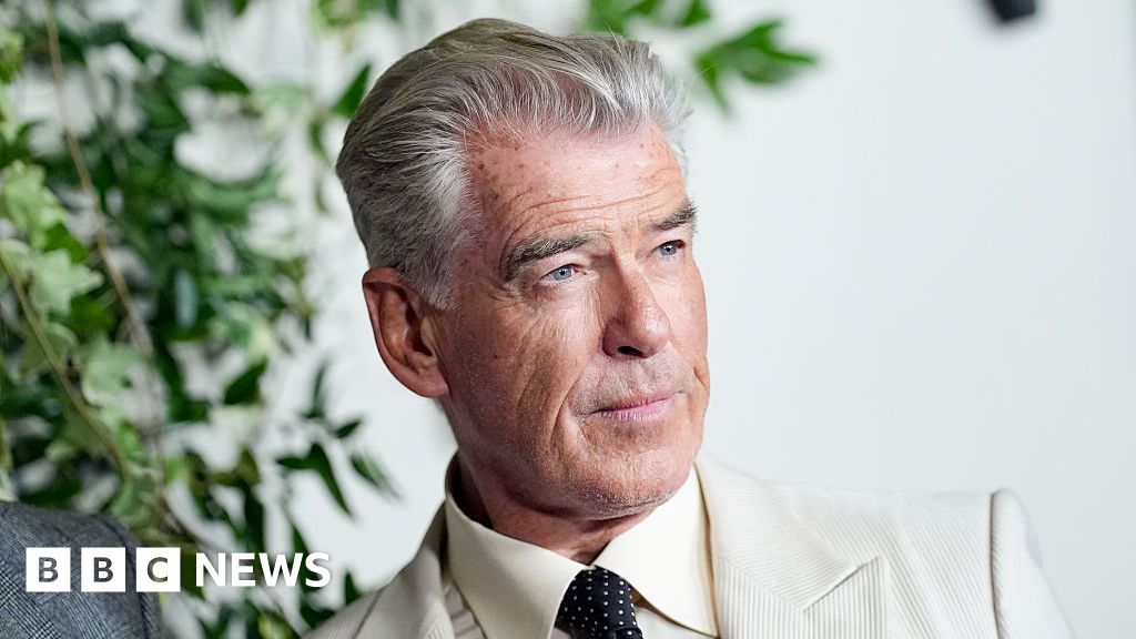 Pierce Brosnan felt ‘huge responsibility’ towards fans of the book