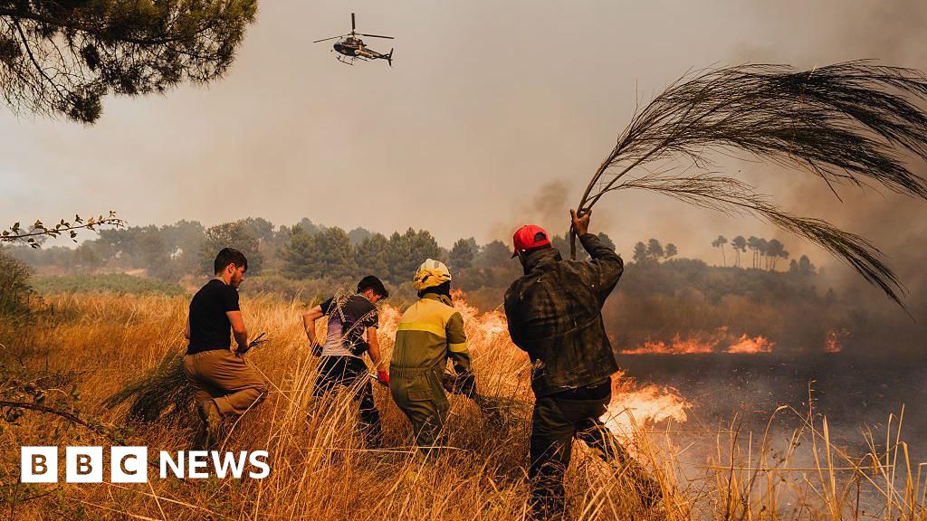 Man run over by own bulldozer while fighting Portugal wildfires Man run over by own bulldozer while fighting Portugal wildfires