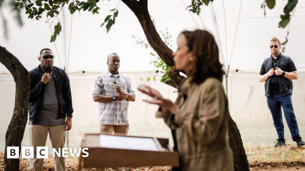 Why has Kamala Harris’ Secret Service detail been withdrawn? Why has Kamala Harris’ Secret Service detail been withdrawn?