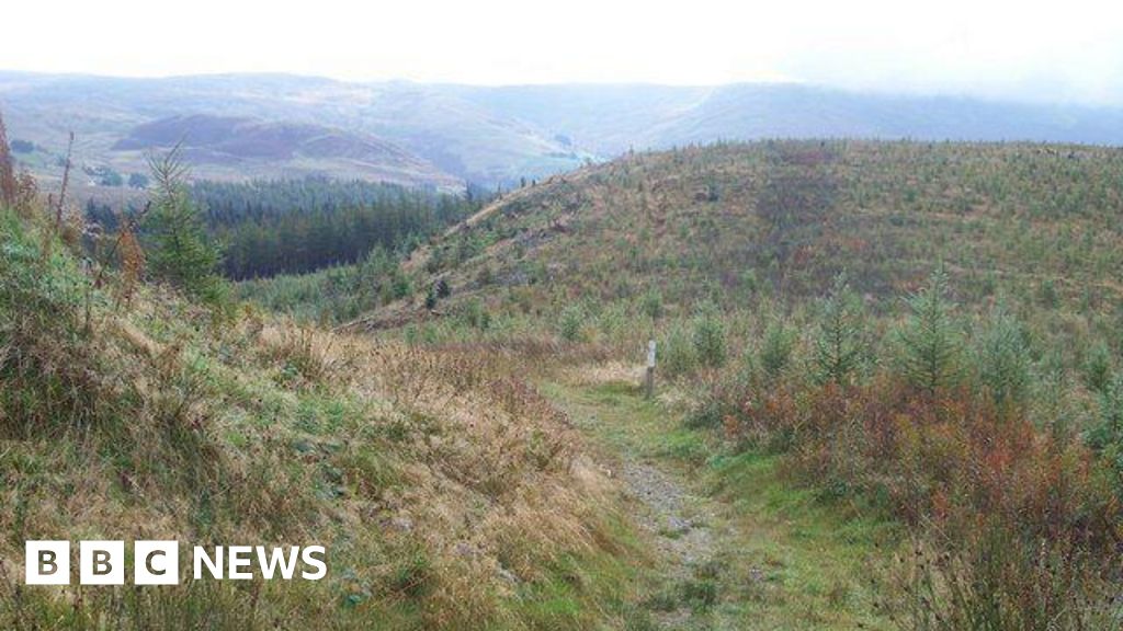 Myherin forest illegal rave shut down by police