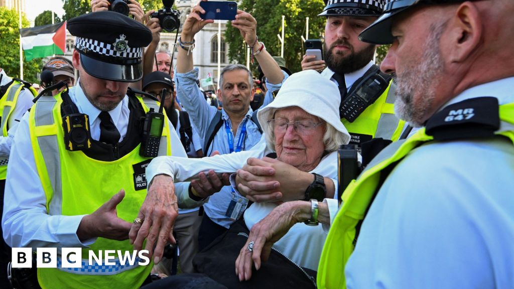 Calls for review of law after Palestine Action arrests