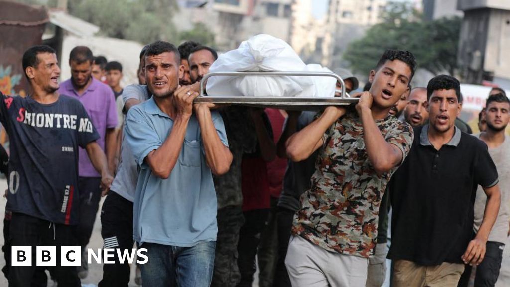 Israel committing genocide in Gaza, world’s leading experts say