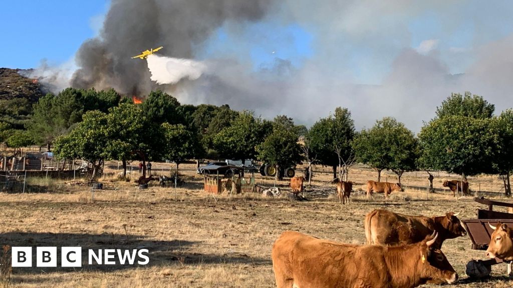 Spain counts the cost of “nightmare” wildfire summer Spain counts the cost of “nightmare” wildfire summer