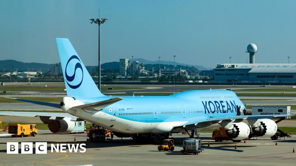 South Korean workers held in US immigration crackdown head for home