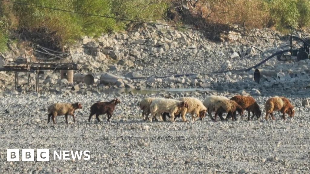 Syria’s worst drought in decades pushes millions to the brink