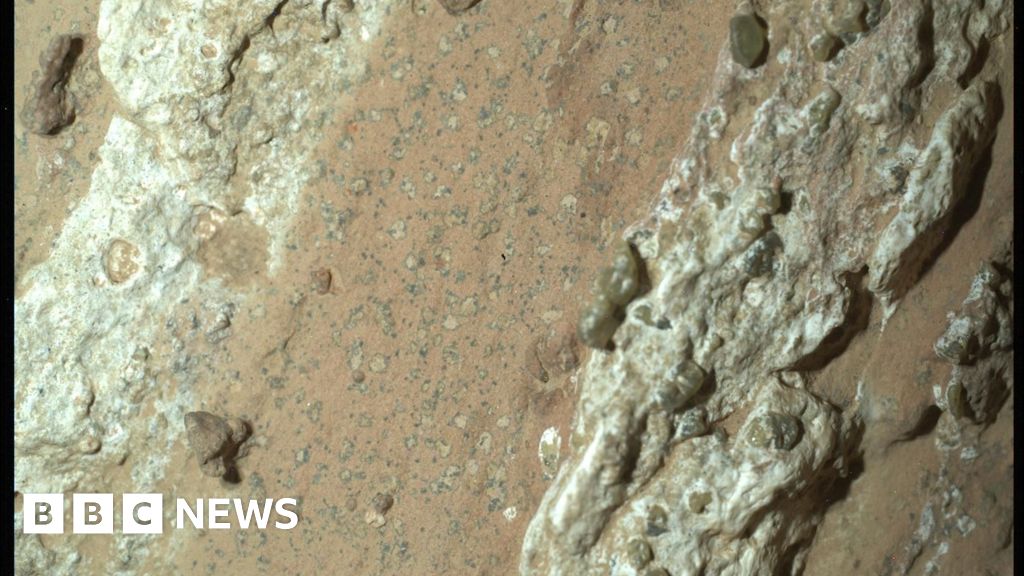 Nasa rover finds rocks on Mars with potential signs of past life