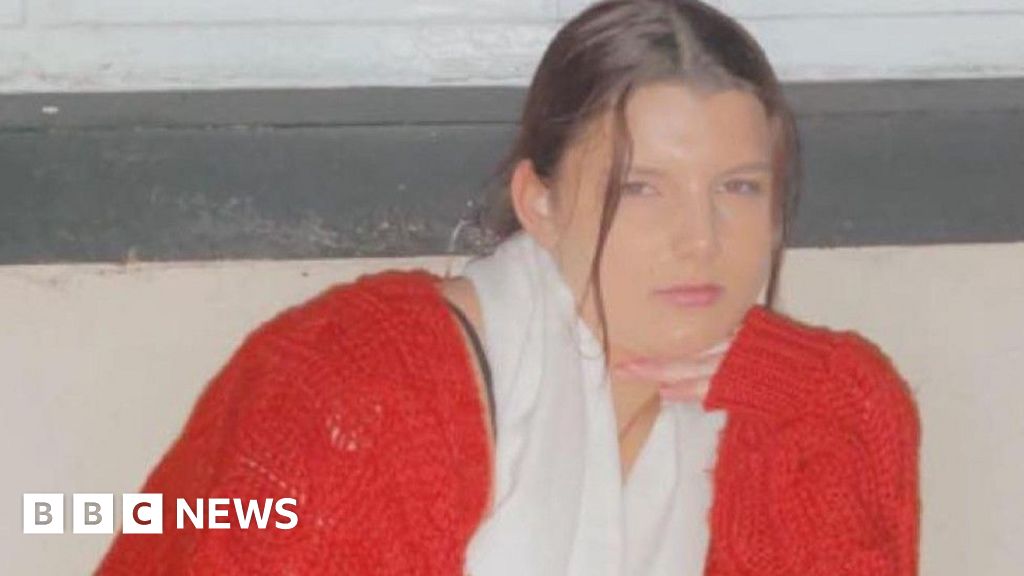 Girl who died on M5 after escaping police ‘was failed’, mum says