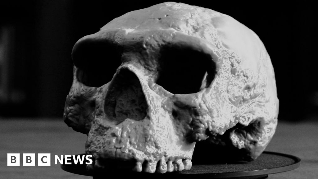 Million-year-old skull rewrites human evolution, say scientists