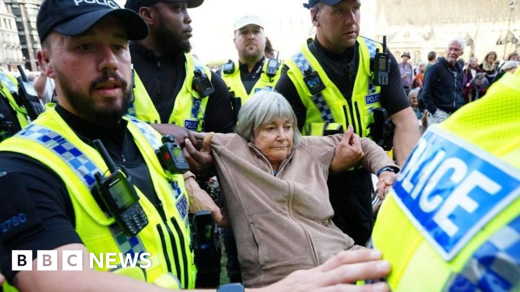 Arrests at rally against Palestine Action ban rise to 890