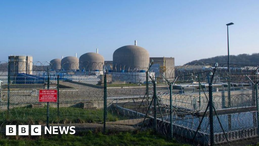 Jellyfish disrupt French nuclear power plant for second time Jellyfish disrupt French nuclear power plant for second time